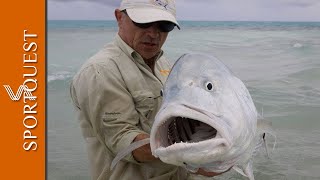 Fly Fishing For GTs On Christmas Island with Sportquest Holidays 🐟 [upl. by Donni]