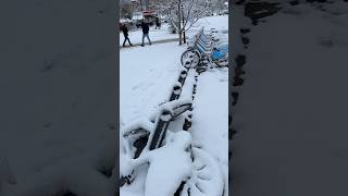 Reshjet e borës mbulojnë edhe biçikletat 3 mijë euroshe në Prishtinë ❄️🚲 [upl. by Peursem]