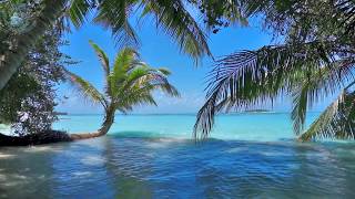 🌴 Ocean Ambience on a Tropical Island Maldives with Soothing Waves amp Paradise View for Relaxation [upl. by Ellerd280]