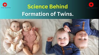 Science Behind Formation of Twins [upl. by Chrisse]