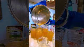 How To Make Lemon Marmalade Short Version [upl. by Notseh125]