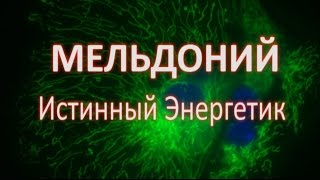 Мельдоний Истинный Энергетик [upl. by Glanti]