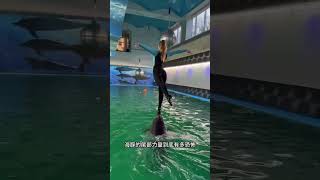 What creatures can swim vertically on the water surface Dolphins floating on water aquarium [upl. by Mit115]