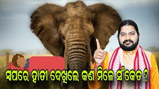 SWAPNARE HATHI DEKHILE KAN MILE SANKETAସ୍ୱପରେ ହାତୀ ଦେଖିଲେ କଣ ମିଳେ ସଂକେତBHABADIBAKAR [upl. by Lrem]