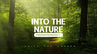 Expert Reveals Photosynthesis Secrets You Never Knew [upl. by Christi]