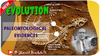 Paleontological evidences Std 10 Unit 1 Heredity And Evolution Maharashtra State Board [upl. by Butta]