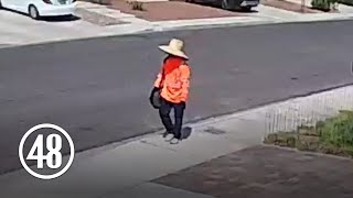 Murder suspect walks through neighborhood after allegedly stabbing journalist [upl. by Lowenstein]