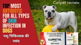 Topmost antibiotic against all bacterial skin diseases in dogs  कुत्तों में त्वचा संक्रमण का उपचार [upl. by Yelime]