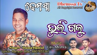 Song BHULI GALU dhemssa tv [upl. by Alocin713]