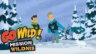 Go Wild Mission Wildnis  Borstenkaninchen im Schnee  Folge 20 [upl. by Garett]