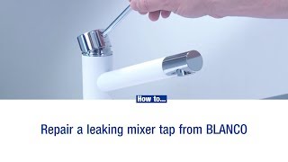 How to repair a leaking mixer tap [upl. by Strephonn]