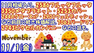 11月相場入り。2586フルッタ・3350メタプラ・5253カバー・244AグロースxP・2901ウェルディッシュなど前回の続き株価解説。2743ピクセル・7063バードの話も2024111 [upl. by Ozne]