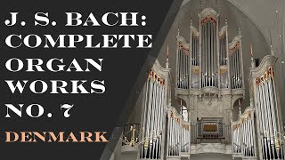 J S Bach The Complete Organ Works No 7 BWV 546 Schübler Chorales BWV 645 Allein Gott BWV 662664 [upl. by Ipoillak]