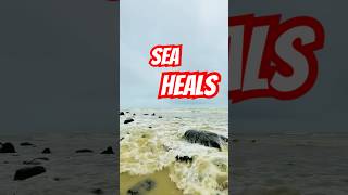 Cox bazar popular trendingshorts trend viralshort viralvideo beachvibes sealife naturelovers [upl. by Kaliope]