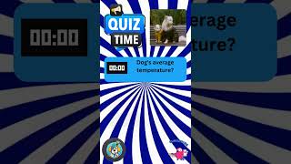 cutedog 4kviral shorts dog animals dogshorts dogquiz [upl. by Neerbas]