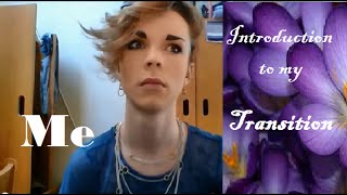 Introduction My Male to Female transition [upl. by Rangel]