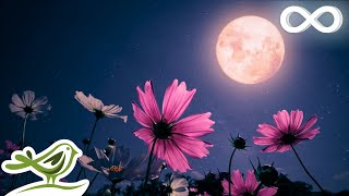 Midnight Calm Deep Sleep Music with Black Screen  Fall Asleep with Ambient Music [upl. by Ayotas631]