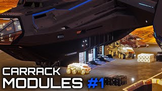 Star Citizen  Carrack Modules [upl. by Roselle]