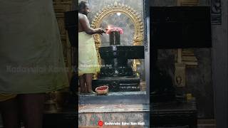 Ramanatha swamy iyypasi pournami sirappu abishekam namakkalRpPuthuromnamahshivayashivshivaom [upl. by Alyhs626]