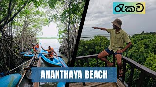 Kayak පදින්න රැකව කලපුවට ගියා  The Hidden Beach In Sri Lanka  Ananthaya Beach Tangalle  4K [upl. by Htebi582]