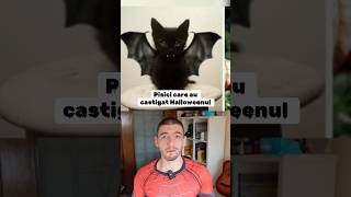 PISICI CARE AU CASTIGAT HALLOWEENUL  Vlad Vaida youtubecreatorcommunity [upl. by Wilbur]