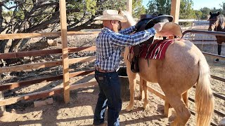 How to SADDLE a Feral Mustang first time [upl. by Juanita]