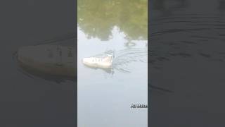 Mini Remote Control boat By ABMaker experiment rcvehicle [upl. by Ronal164]