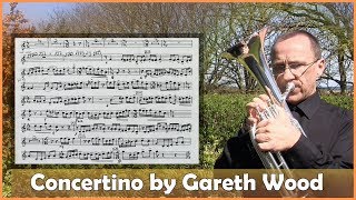 Concertino Full Version by Gareth Wood Tenor Horn and Piano [upl. by Annaig]