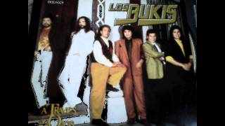 Los Bukis Despues De Un Adios [upl. by Camden]