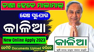 Kalia Yojana New Online Apply 2023 Last Chance Dont Miss [upl. by Zerat]