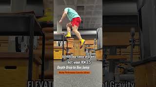 DEPTH DROP TO BOX JUMP  🥋 Wushu Performance Exercise Library 🇨🇳 [upl. by Rehotsirhc]