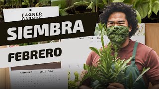 Calendario de siembra 👨🏽‍🌾 del mes de FEBRERO 💚  Qué sembrar en mi huerto urbano FACIL Y RAPIDO 🌱 [upl. by Hartfield]