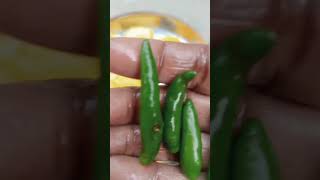 Kacha paka am makha kasundi o kacha lanka diye  please 🥺 subscribe to my channel food [upl. by Eimar555]