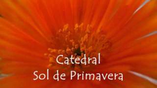 Catedral  Sol de Primavera [upl. by Aseretairam]