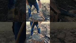 Bushcraft Holz spalten Test Axt vs Machete bushcraftmesser outdoormesser wildnis campen [upl. by Lyudmila437]