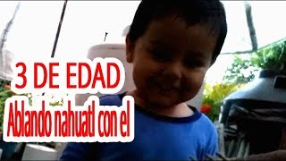 Ablando nahuatl con un niño de 3 años A EL NO LE DA PENA HABLAR NAHUATL [upl. by Ahsien]