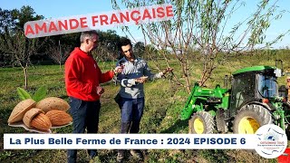 Production damande en France 🇫🇷 20246 [upl. by Haizek]