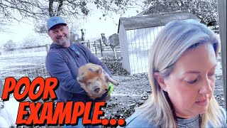 Hilarious Pig Escape Prank Flint Thinks Hes Funny 😒 [upl. by Lipscomb373]