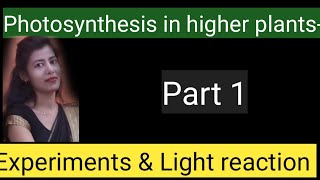 photosynthesis in higher plants NCERT educationk6111 [upl. by Egamlat]