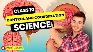 Control and Coordination Class 10 Science  Science Chapter 7  Important Questions  CBSE  NCERT [upl. by Tteltrab]