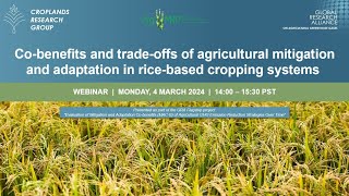 Co benefits and tradeoffs of agricultural mitigation and adaptation in rice based cropping systems [upl. by Anazraf]