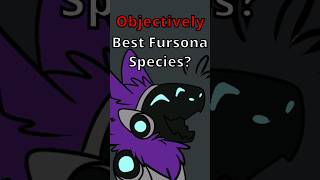 The 3 quotObjectivelyquot Best Fursona Species furries [upl. by Hnib]