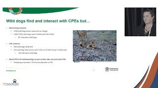 Dr Lana Harriott  Efficacy of canid pest ejectors [upl. by Vi]