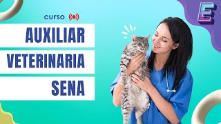 🐶 CURSO AUXILIAR VETERINARIA  Sena 2023 [upl. by Beach]