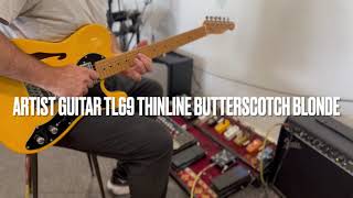 Artist Guitar TL69 Thinline Jam 2 [upl. by Annahavas]