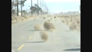 Star Wars  Return of the Tumbleweeds [upl. by Bilicki]