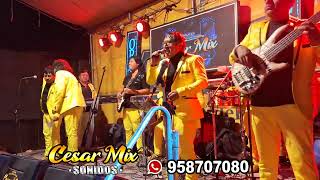 sonidos cesar mix  imbatibles bravos de la cumbia  por ella [upl. by Linette501]