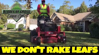 Mowing leafs instead of raking them [upl. by Gildas]