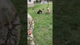 US Army Soldier Attempts The T Pushup During The ACFT [upl. by Iorgo927]