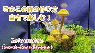 【苔テラリウム制作】きのこの森。きのこリウムの作り方・育て方・成長記録 [upl. by Tandie]